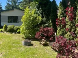 Rzeczny Zakątek nad Wkrą