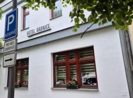 Hotel Radnice Dobrovice，位于Dobrovice的酒店
