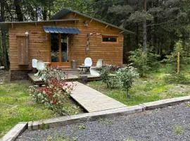Chalet libellule Domaine de la Mamounette