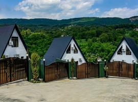 Guba Hillside Chalet，位于库巴的酒店