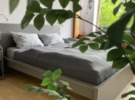 Ferienwohnung in Freudenstadt-Kniebis II