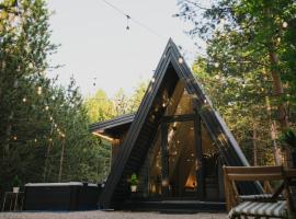Pinelle Blidinje A-Frame House，位于Risovac的酒店