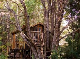 Pucón Volcano Forest SPA，位于普孔的豪华型酒店