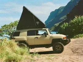 Fully Decked All Tan FJ Cruiser!