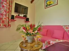 Gîte Orchidée piscine commune