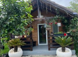 Cabana Sorina，位于科尔布的酒店