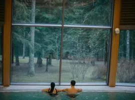 阿尼克什奇艾-维尔纽斯SPA酒店