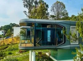 Cápsulas San Vicente