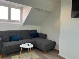Superbe studio refait à neuf