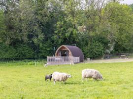 Ashberry Glamping Pod，位于约克的酒店
