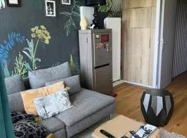 Chambre chez l'habitant, au pied de la plage, piscine et vue océan