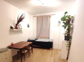 Green Plants 24 7 Check In 4 Persons