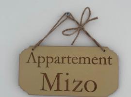 Appartement proche zenith "mizo"，位于奥弗涅库尔农的酒店