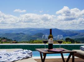 Casa do Santo - Wine & Tourism，位于Provesende的乡村别墅