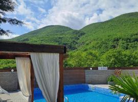 Vila NIKOLA，位于Dren的酒店