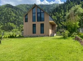 MTA house - Borjomi