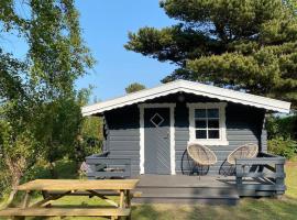 Blockhütte Nordsee Tiere Spielplatz，位于凡岛的酒店