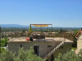 Le Mas de la Tortue (Toit Terrasse)