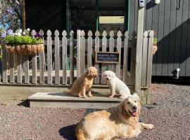 Willows Reach Lodge，位于Kumeu的山林小屋