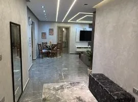 Luxury apartment in downtown