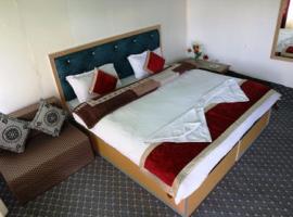 Himalayan Wooden Cottages - Merak, Pangong Lake，位于Merak的酒店