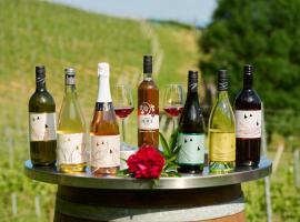 Grobelnik Tourist Farm，位于Sevnica的酒店
