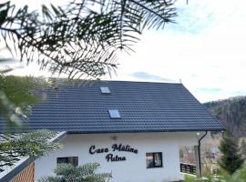 Casa Mălina Putna，位于苏恰瓦的酒店