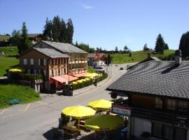 Hotel Des Alpes Jaunpass，位于博尔蒂根的酒店