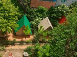 Sunlane Nest Da Lat，位于大叻的青旅