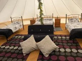 Hendre Glamping Retreat- The Sparrow's Nest