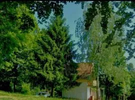 Deep Forest House