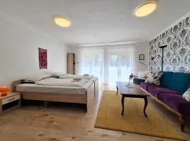 Napvirág - Közel mindenhez