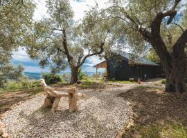 Olive Hills holiday homes 3，位于多布拉沃达的木屋