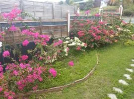 La Bougainville