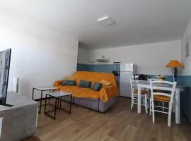 Studio Confortable et Bien Situé – Plages, Port, Animations à Deux Pas - FR-1-476-194