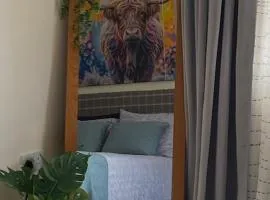 Heads In Beds, The Bull Room