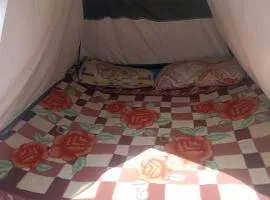 Kedarnath Camps House