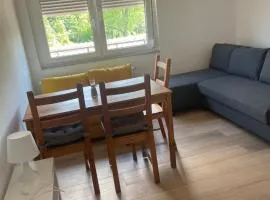 Apartma Škorenjček