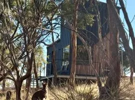 Richmond Wildlife Haven