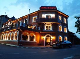 Hotel Orizont，位于斯勒尼克的酒店