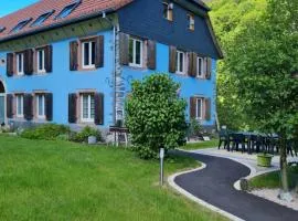 la maison bleue