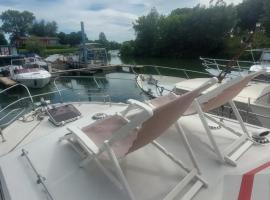 Escapade en Bateau VINTAGE terrasse mini spa option payante，位于Seurre的酒店