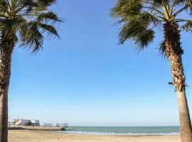 Chess & Beach 786