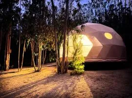 DOMO de Lujo con Tinaja en el Bosque de Tunquen