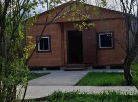 Stepanavan Forest House
