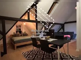 Schöne neue DG Wohnung mit sonniger Dachterrasse und fantastischem Ausblick