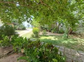 Holiday Beach Guesthouse