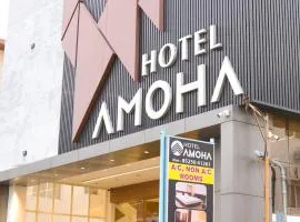 Hotel Amoha