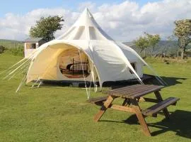 Tal-y-fan farm 6m stargazer tent