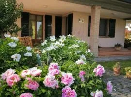 Bed and Breakfast La Contessa